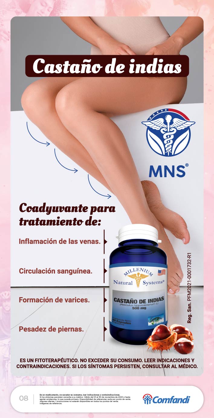 Revista Noviembre Pag 8