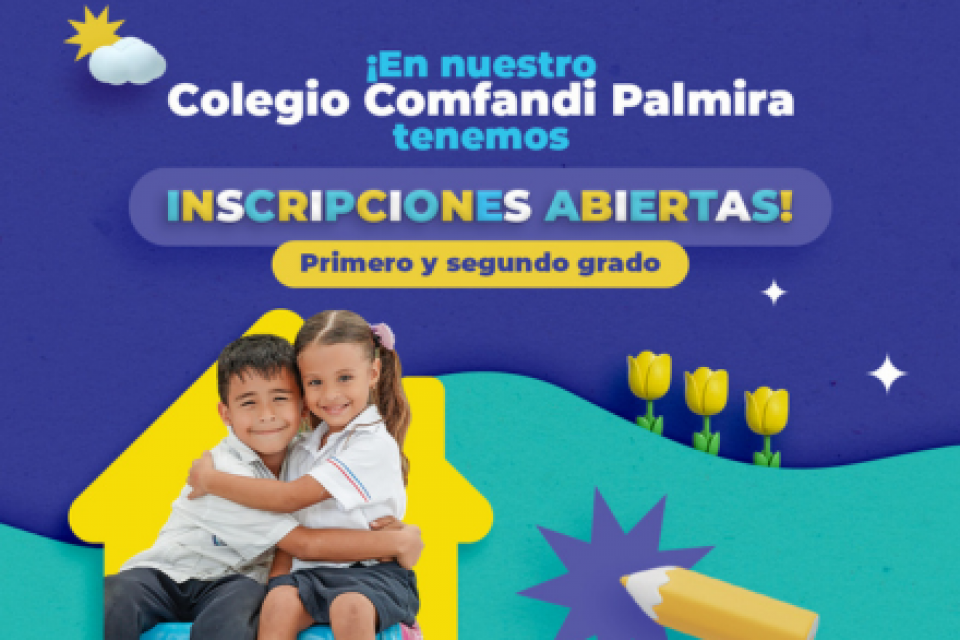 banner colegio palmira
